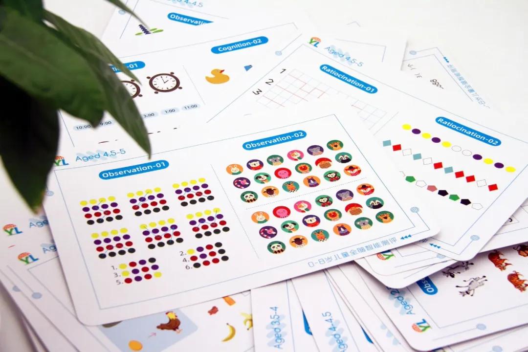 全腦智能測(cè)評(píng)箱