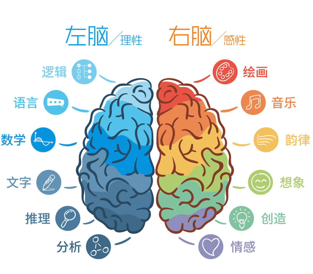 幼兒全腦開發(fā)課程