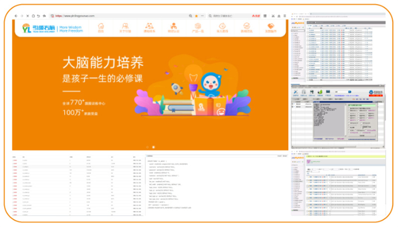引領(lǐng)右腦2023年度品牌資產(chǎn)回顧 引領(lǐng)右腦2023年度品牌資產(chǎn)回顧