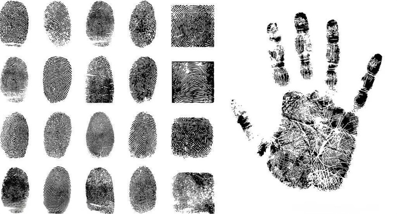 運營管理研修班暨天賦測評系統升級培訓